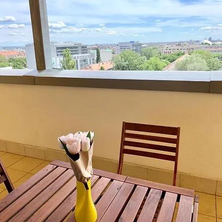 Apartment Penthouse Young #freeparking